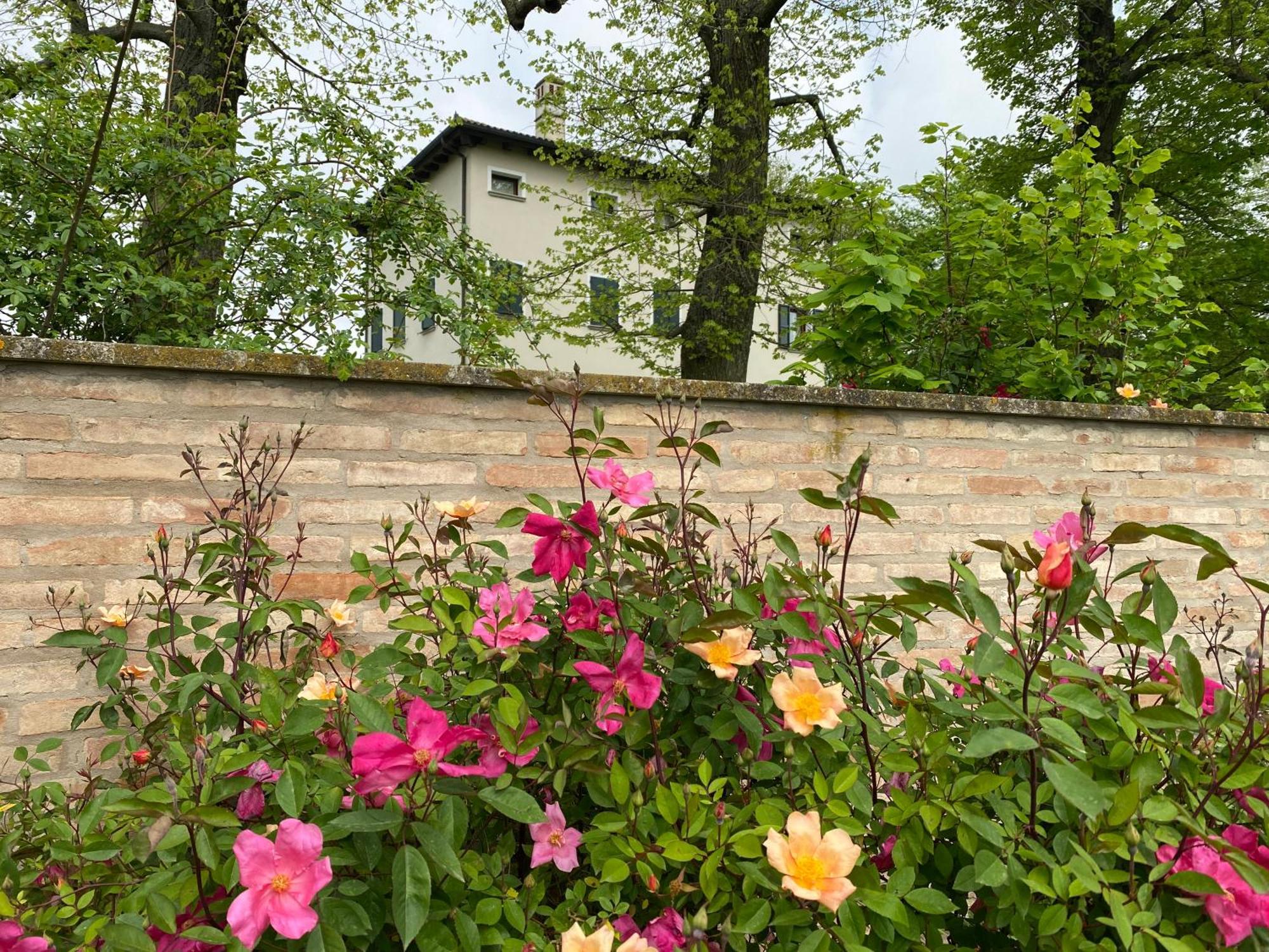 Monteborre Villa Cento  Buitenkant foto